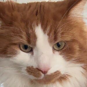 Meet your Posher, Cecilia